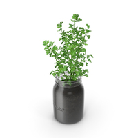 Parsley PNG & PSD Images