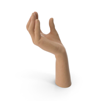 Hand Upwards Object Hold Pose PNG & PSD Images