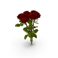 Bouquet of Roses PNG & PSD Images