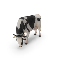 Dairy Cow Eating Pose with Fur PNG & PSD Images