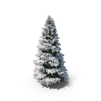Winter Tree PNG & PSD Images