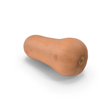Butternut Squash PNG & PSD Images