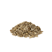 Sunflower Seeds PNG & PSD Images