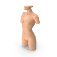 Mannequin A Plastic Skin PNG & PSD Images