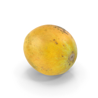 Melon PNG & PSD Images