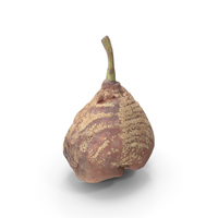 Pear Rotten PNG & PSD Images