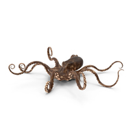 Octopus Sitting PNG & PSD Images