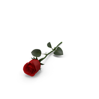 Red rose PNG & PSD Images
