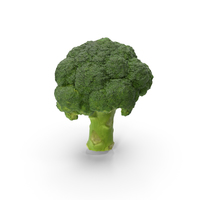 Broccoli PNG & PSD Images