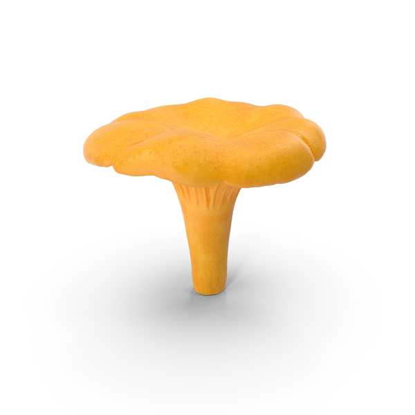 Golden Wild Mushroom Chanterelle PNG & PSD Images