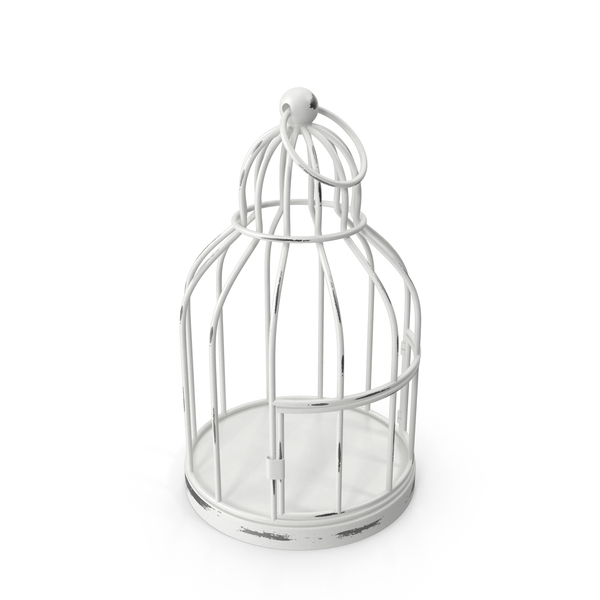 White Birdcage PNG & PSD Images