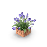 Flowers In Pot PNG & PSD Images