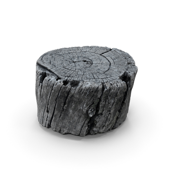 Old Stump PNG & PSD Images