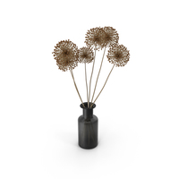 Dry Flowers in a Vase PNG & PSD Images