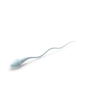 Human Sperm Cell PNG & PSD Images