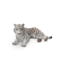Lying White Tiger PNG & PSD Images