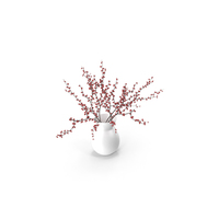 Branches With Berries In Vase PNG & PSD Images
