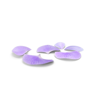 Orchid Petals Violet PNG & PSD Images