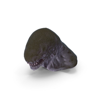 Monster Beast Head PNG & PSD Images