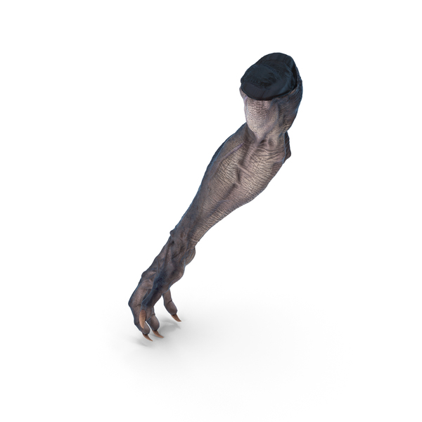 Monster Creature Arm PNG & PSD Images