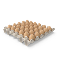 Paper Egg Tray PNG & PSD Images