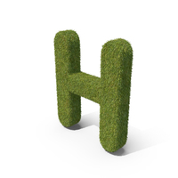 Grass Capital letter H PNG & PSD Images