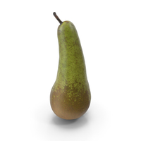 Conference Pear PNG & PSD Images