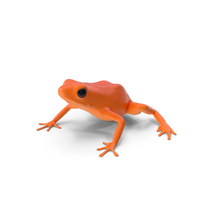 Orange Dart Frog PNG & PSD Images