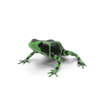 Green Black Dart Frog PNG & PSD Images