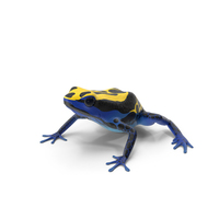 Dyeing Dart Frog PNG & PSD Images