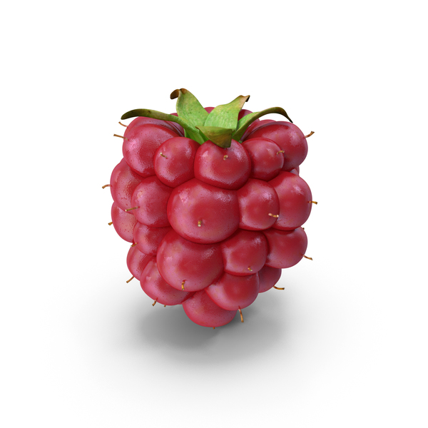 Not Ripe Berry Blackberry PNG & PSD Images