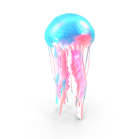 Purple-striped jellyfish (Pelagia Noctiluca) PNG & PSD Images