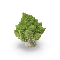 Cauliflower PNG & PSD Images
