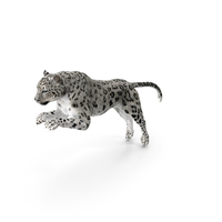 Panthera Uncia Jumping Pose PNG & PSD Images