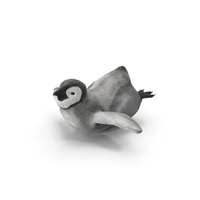 Penguin Baby Swimming Pose PNG & PSD Images
