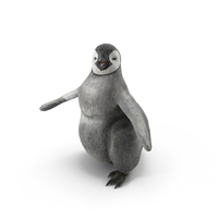 Penguin Baby Walking Pose PNG & PSD Images