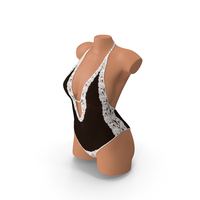 Lingerie PNG & PSD Images