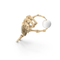 Skeleton Hand Holding a Ping Pong Ball PNG & PSD Images