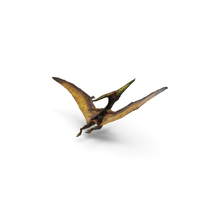 Pteranodon Flying Carnivorous Reptile Flying Pose with Fur PNG & PSD Images