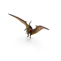Pteranodon Flying Carnivorous Reptile Landing Pose with Fur PNG & PSD Images