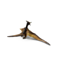 Pteranodon Flying Carnivorous Reptile Standing Pose with Fur PNG & PSD Images