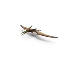 Pteranodon Flying Carnivorous Reptile with Fur PNG & PSD Images