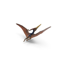 Pteranodon Flying Pose with Fur PNG & PSD Images