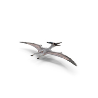 Pterosaur Pteranodon White with Fur PNG & PSD Images