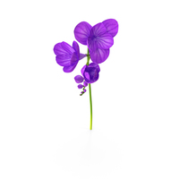 Purple Freesia Flower PNG & PSD Images