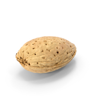 Raw Almond In Shell PNG & PSD Images