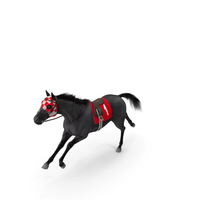 Running Racing Horse Fur PNG & PSD Images