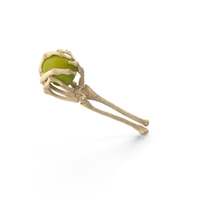 Skeleton Hand Grabbing a Green Apple PNG & PSD Images