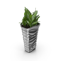 Plant Living Tall PNG & PSD Images