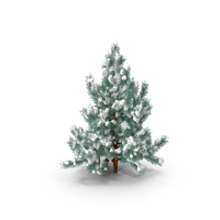 Pine Tree with Snow PNG & PSD Images
